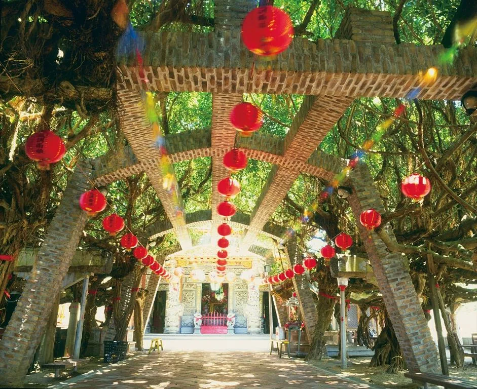 Tongliang Ancient Banyan